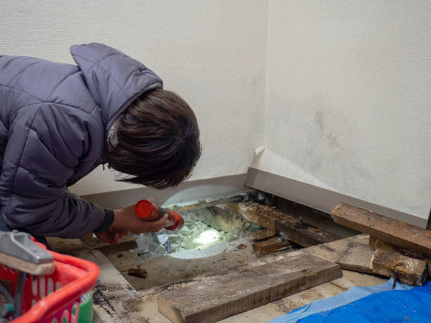 Best Biohazard Mold Removal  in Portsmouth, OH