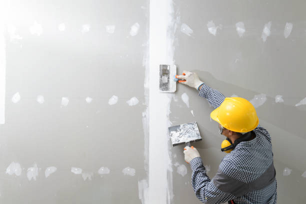 Best Commercial Mold Inspection  in Portsmouth, OH