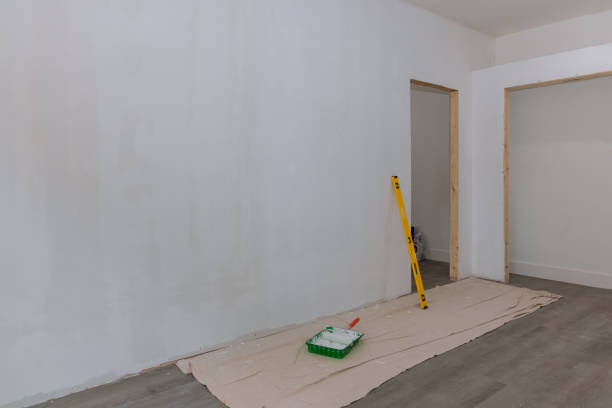Best Emergency Mold Remediation  in Portsmouth, OH
